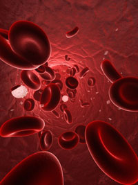 © Sebastian Kaulitzki - Fotolia.com